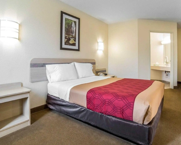 1 Bedroom Standard Double room
