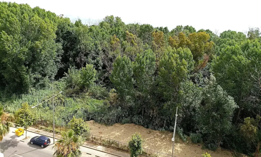 Studio Sea View in Durres Plazh Area