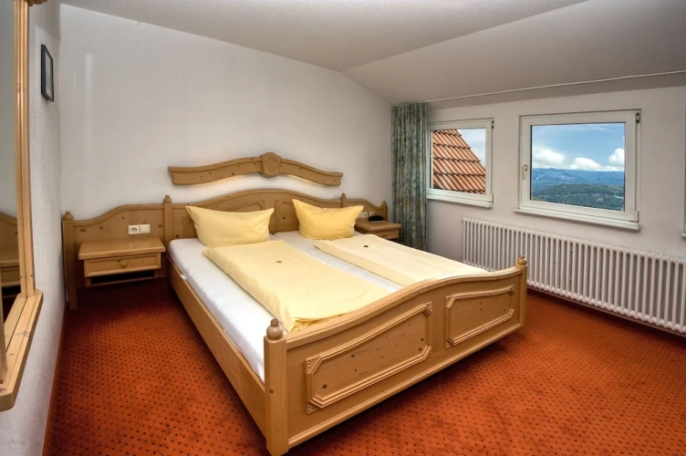 Comfort Double room with view