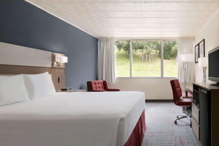 1 Bedroom Double Suite