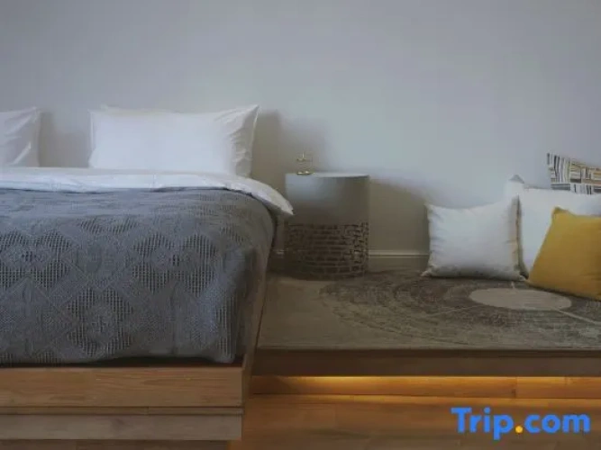 1 Bedroom Standard Double room