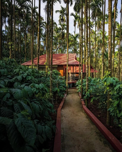 Coffee Gudda Resort