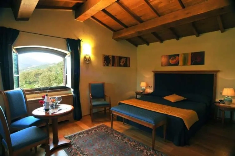 Junior Suite with view