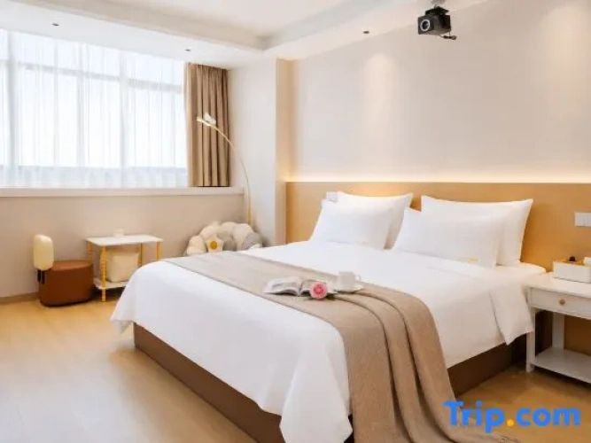 Standard Double room with city view
