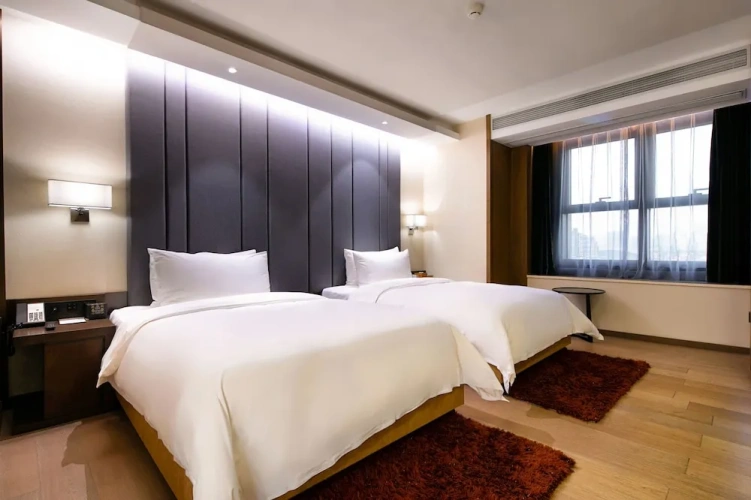 Comfort Suite