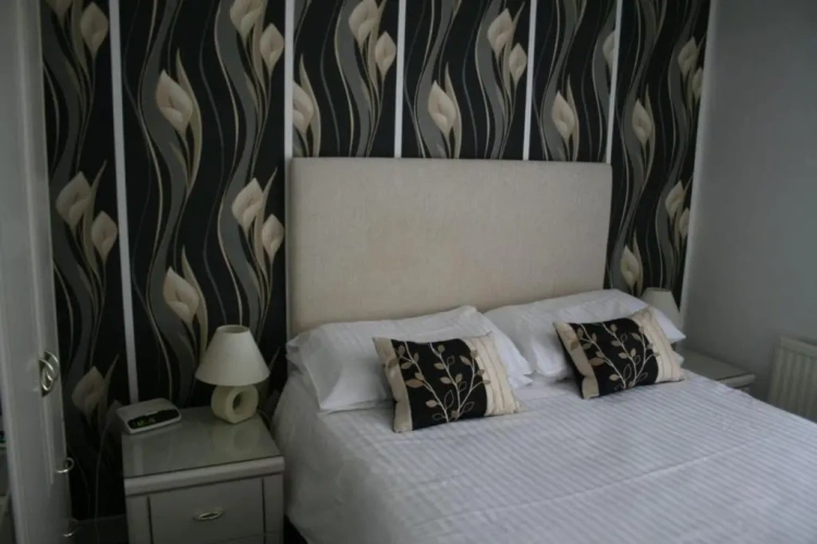 1 Bedroom Basement Apartment