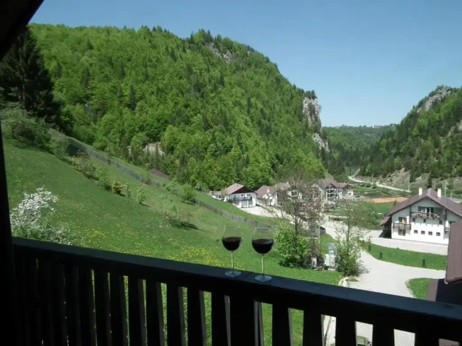 Superior Double room with balcony and with mountain view