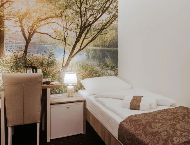 Superior Single room
