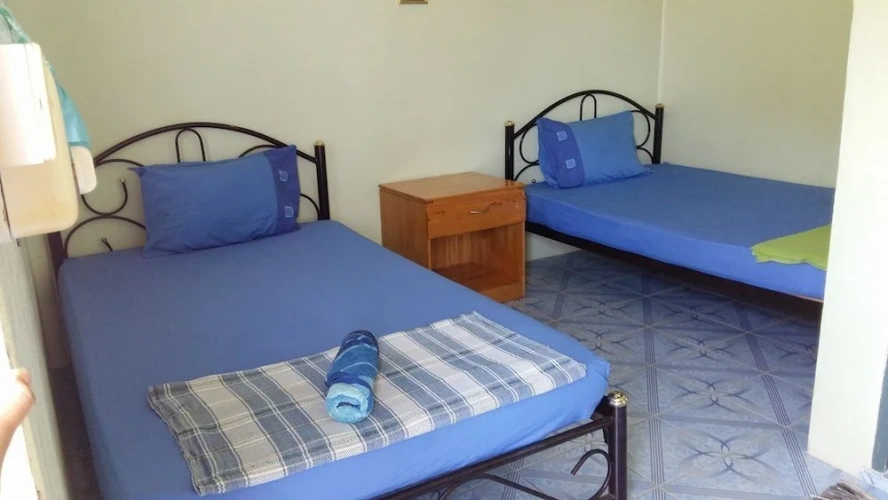 Standard Twin room with balcony and with sea view