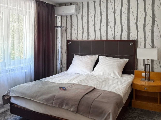 1 Bedroom Deluxe Double room