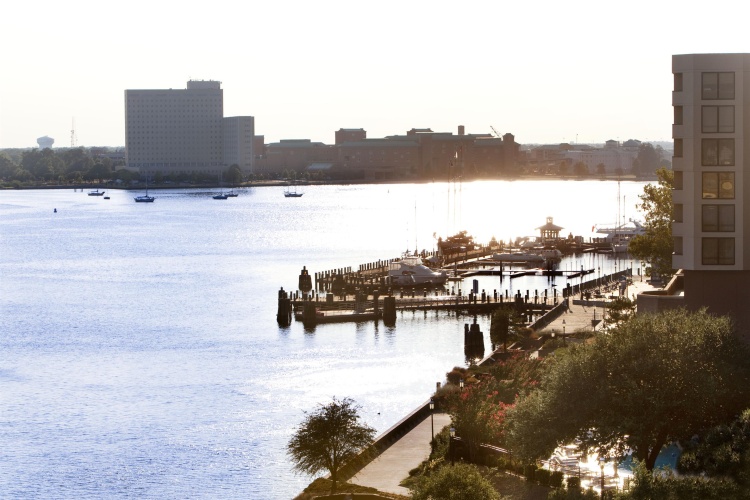 Sheraton Norfolk Waterside photo 25
