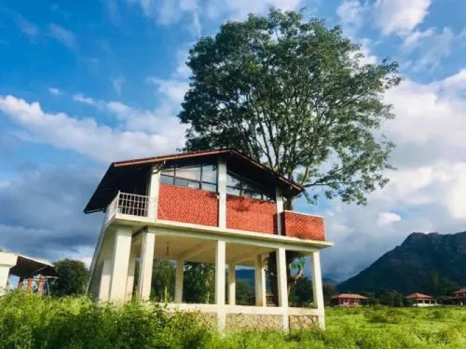 Jungle Inn Resorts
