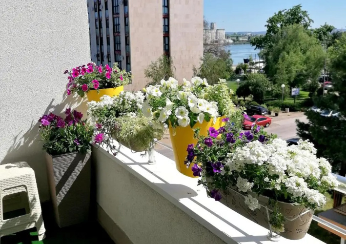 Serbona apartment