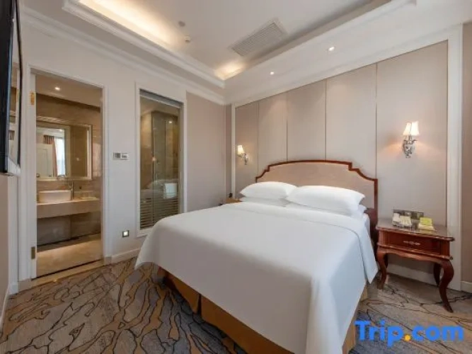 1 Bedroom Deluxe Suite with view