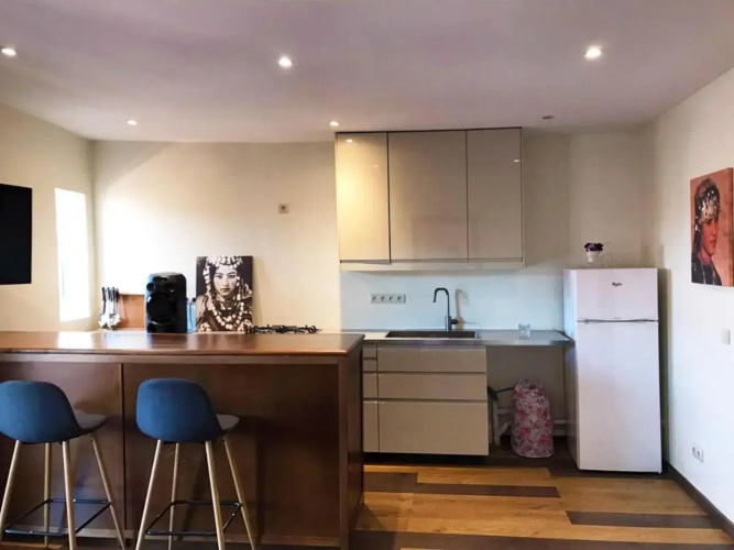 Safran flat with 2 large terraces Central Location