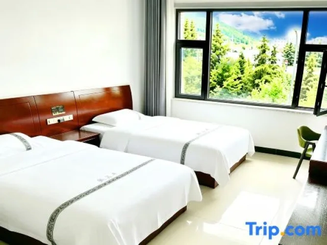Standard Twin room with mountain view