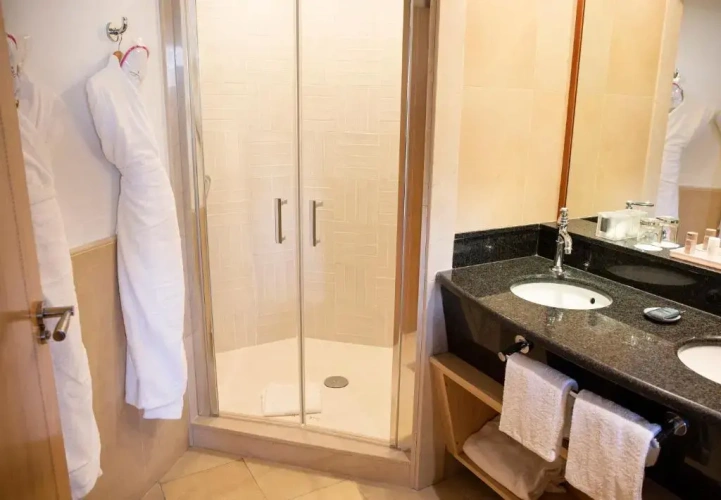 Standard Double room with balcony and with sea view