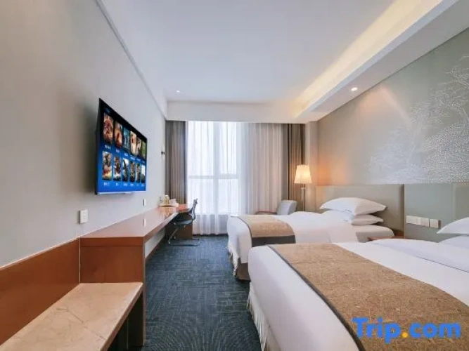 Executive Twin room