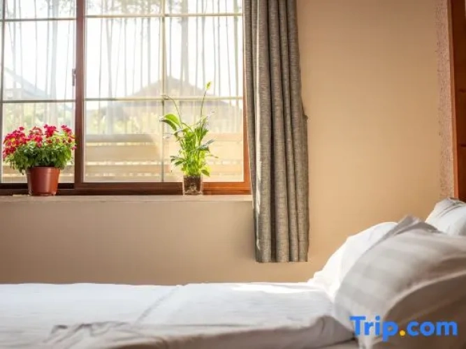 1 Bedroom Standard Double room with courtyard view