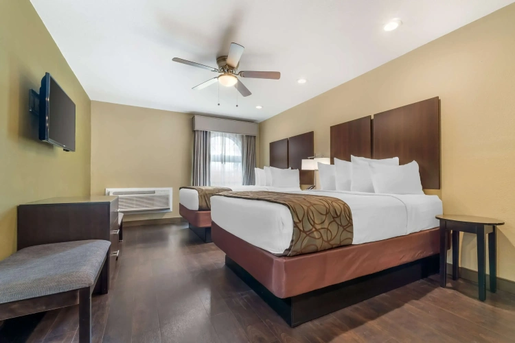 Quadruple Suite