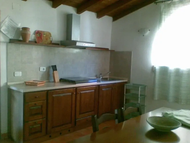 Double Basement Apartment