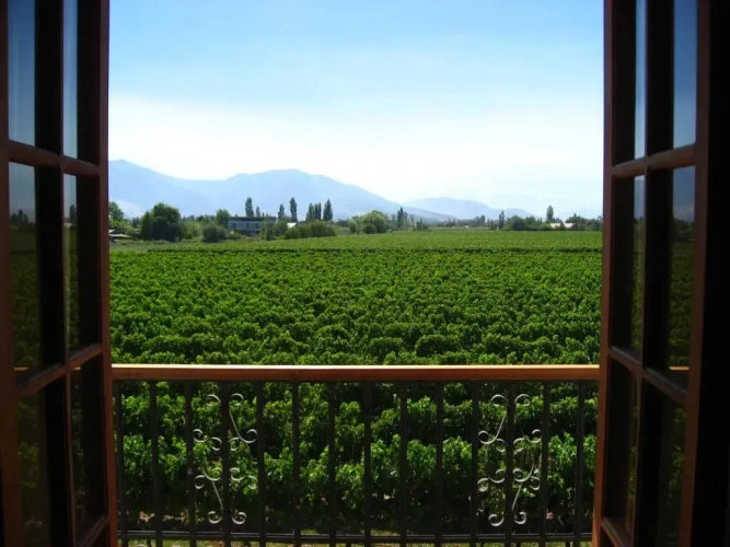 Standard Single room with balcony and with view
