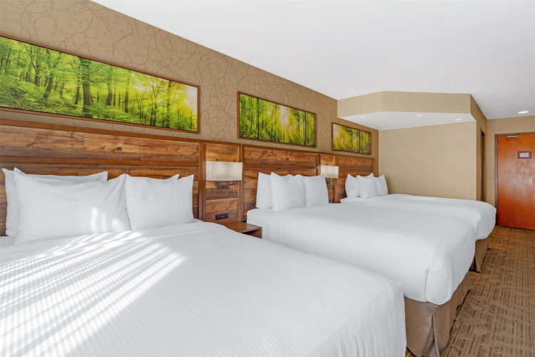 Best Western Plus Valemount Inn & Suites