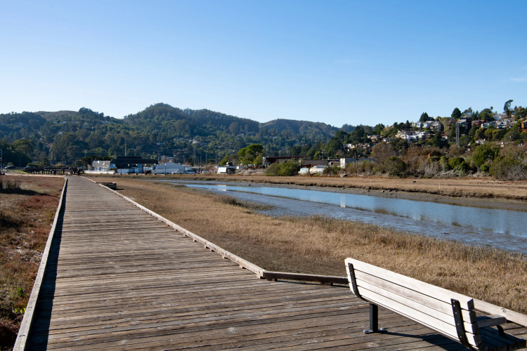 Holiday Inn Express Mill Valley San Francisco Area photo 27