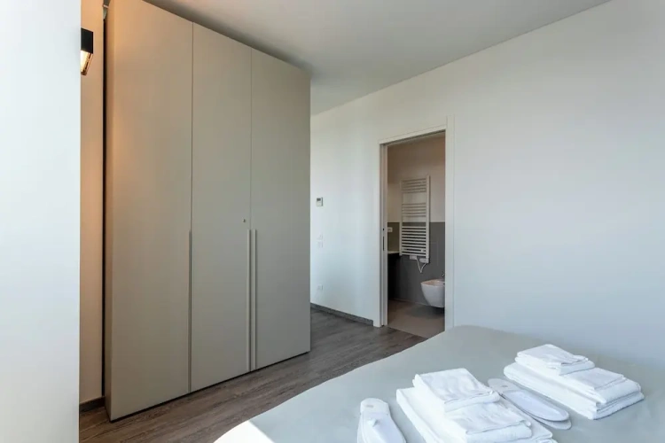 Deluxe Apartment with balcony and with city view