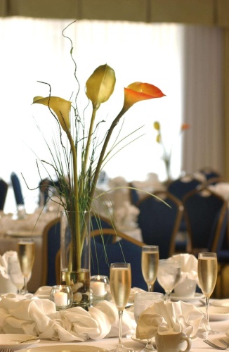 DoubleTree by Hilton Hotel Greensboro photo 22