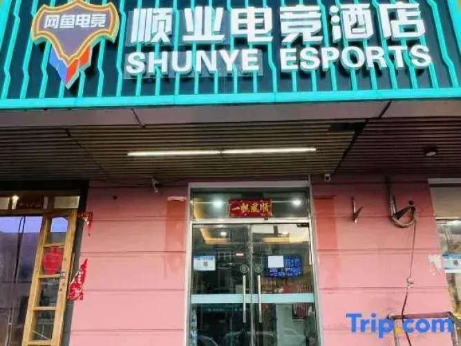 Beijing Shunye E-sports Theme Hotel