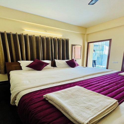 Deluxe Apartment