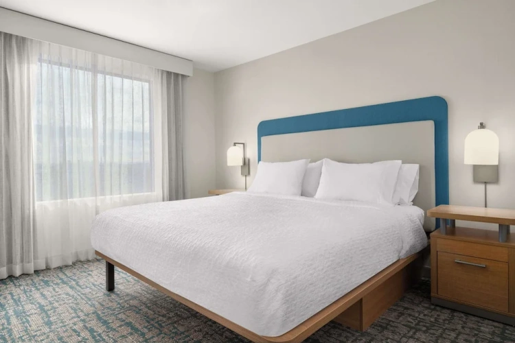1 Bedroom Suite