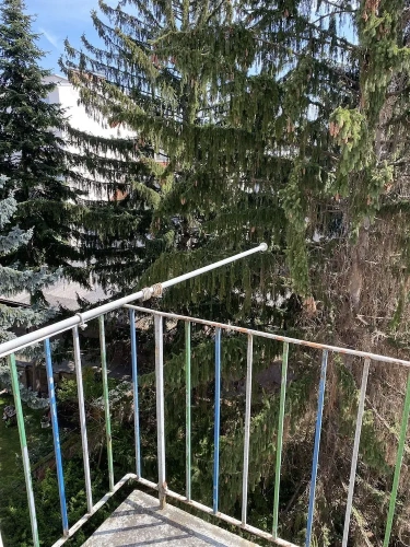 1 Bedroom Apartment with balcony and with garden view