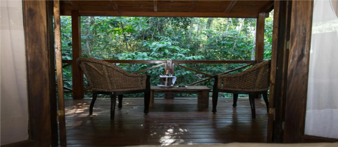 Selva de LaurelOver view