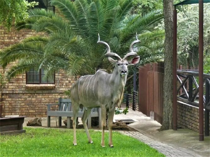 Weltevrede Lodge