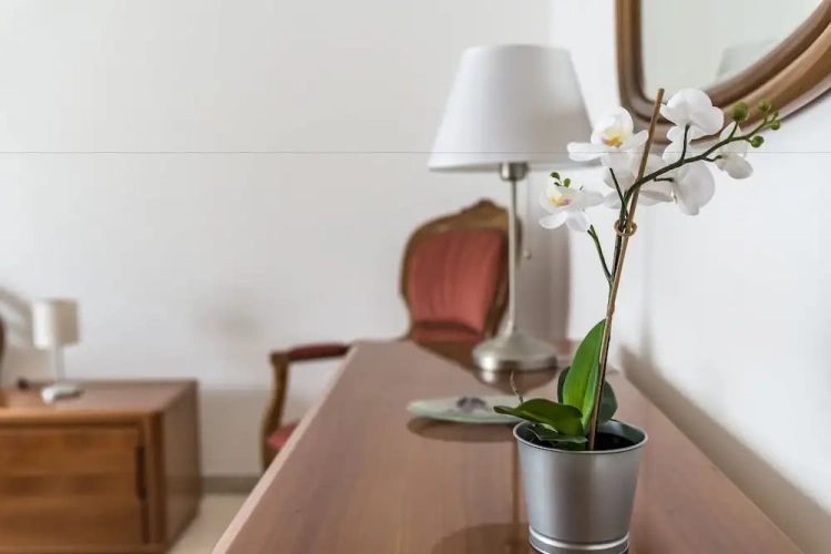 2 Bedrooms Classic Apartment with balcony