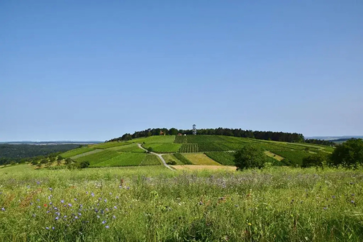 Ferienwohnung auf dem Dorf, Külsheim