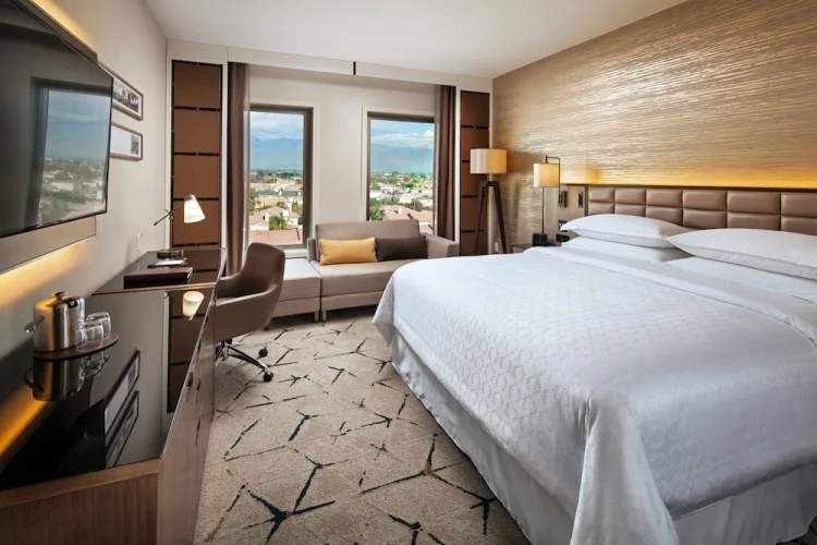 Premium Double Suite