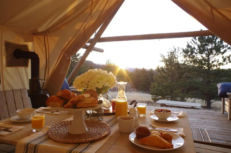 Black Tree Resort