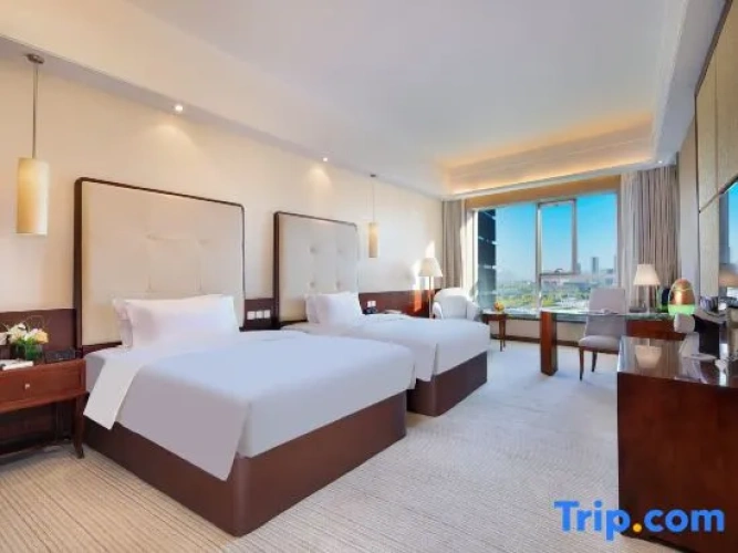 Comfort Twin Suite