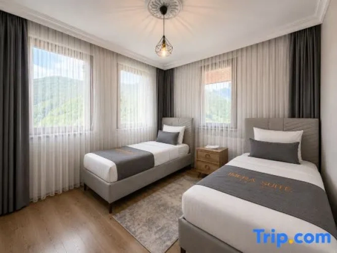 Basement Suite with garden view