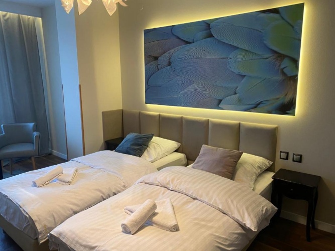 Premium Twin room with view