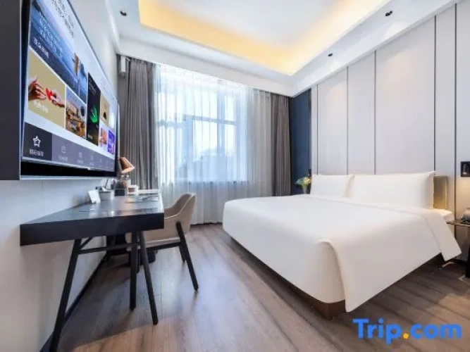 Standard Double room with garden view