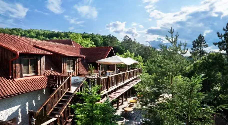 Černý Kohout