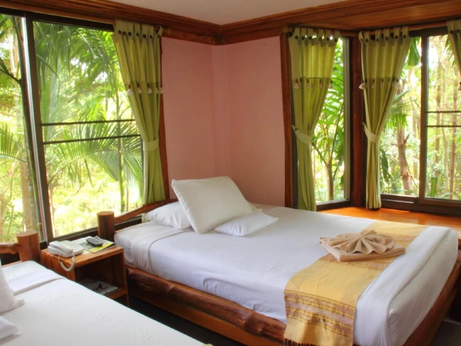 Superior Double room with view