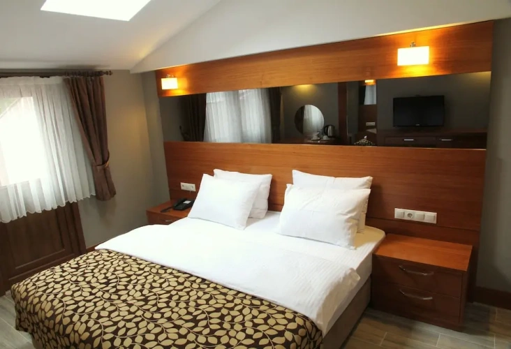 Standard Double room with mountain view