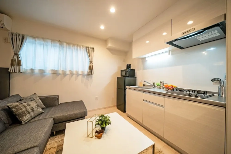 1 Bedroom Apartment