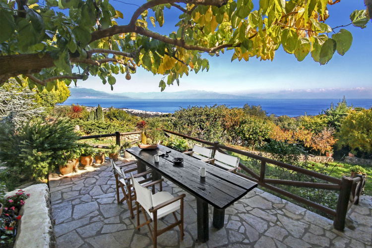 Ampelos Estate - The Studio