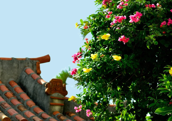 The Naha TerraceOver view